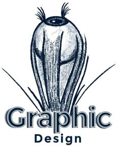 Graphic Design & Identity Graphic Design & Identity